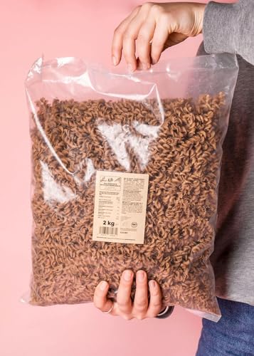 KoRo - Bio gekeimte Buchweizennudeln 2 kg - Vegane Spiralnudeln - Aus Buchweizen- und Leinsamenmehl