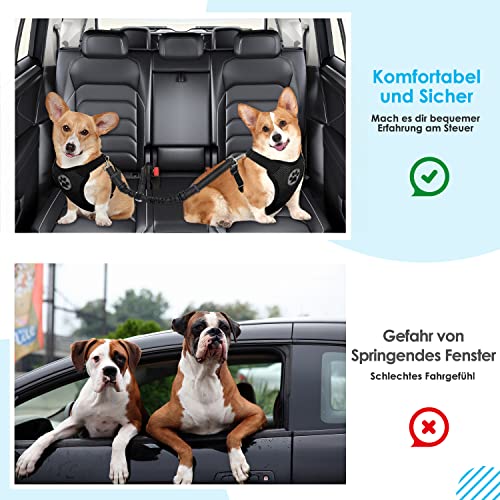 SlowTon Anschnallgurt Hund - 2 in 1 Verhedderungsfreier, Langlebiger Elastischer Hundegurt für Auto & Ausgehen, Verstellbarer Reflektierender Sicherheitsgurt