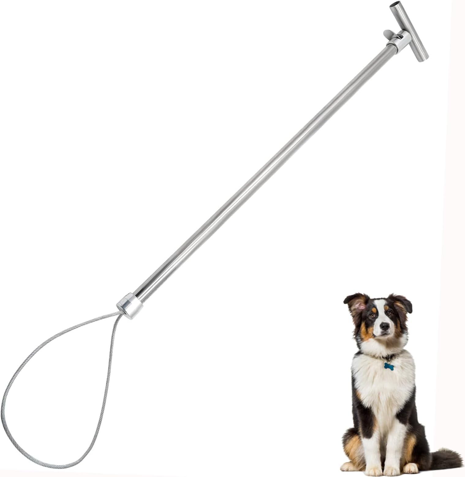 Hog Pig Catcher Pole ​Holder Control Tool Heavy Duty Stainless Steel for Dog Pig Swine Animals Livestock
