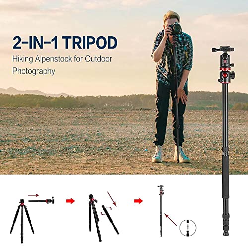 Zomei Camera Tripod 75-inch thumbnail 3