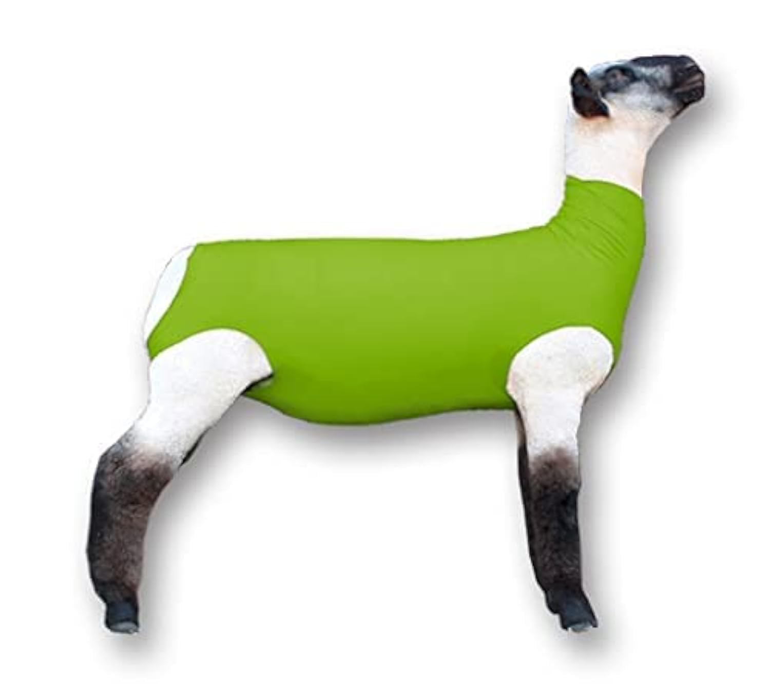 Amazon.com : Show Pro Neon Green Spandex Lamb Tube for Show Sheep