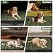 Feelhap Hundedecke 110x68cm Waschbares,Hundedecke für Unterwegs Wasserdicht,rutschfeste Hundematte Komfort und Weiches Wasserdichtes Hundebett,Outdoor,Reise,Auto-Kofferraum Hundekissen (Dunkelgrün)