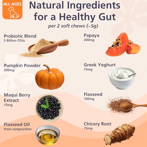 Leo's (120chews) Probiotic for Dogs chews | Natural Dog Probiotic Supplements | Pro Biotics for Gut Health Dog | Pre Pro and Post Biotic dog treats | Gut Health, Anal Glands, Grass-Eating, Itchy Ears - Image 4