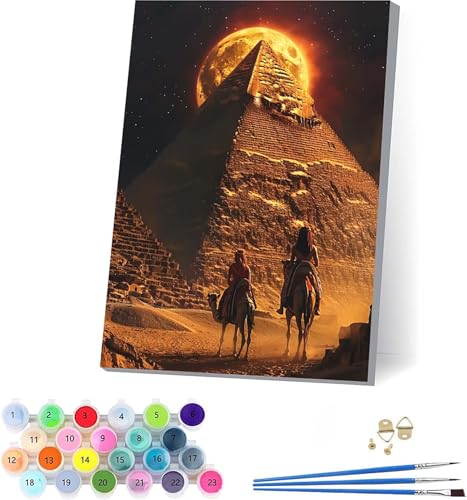 G  yCgoCio[ GWvg DIY Paint by Numbers LbghG h G fW^G uVƃANG̋ l̂߂̃NGCeBuȎ z[ ItBX Mtg 40x50cm t[t 