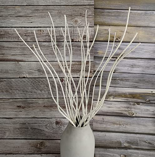 Branches de saule bouclées séchées - Branches décoratives pour décoration de vases - Branches Ting Ting pour vases, guirlande de sapin de Noël, couronne à paillettes (blanc)