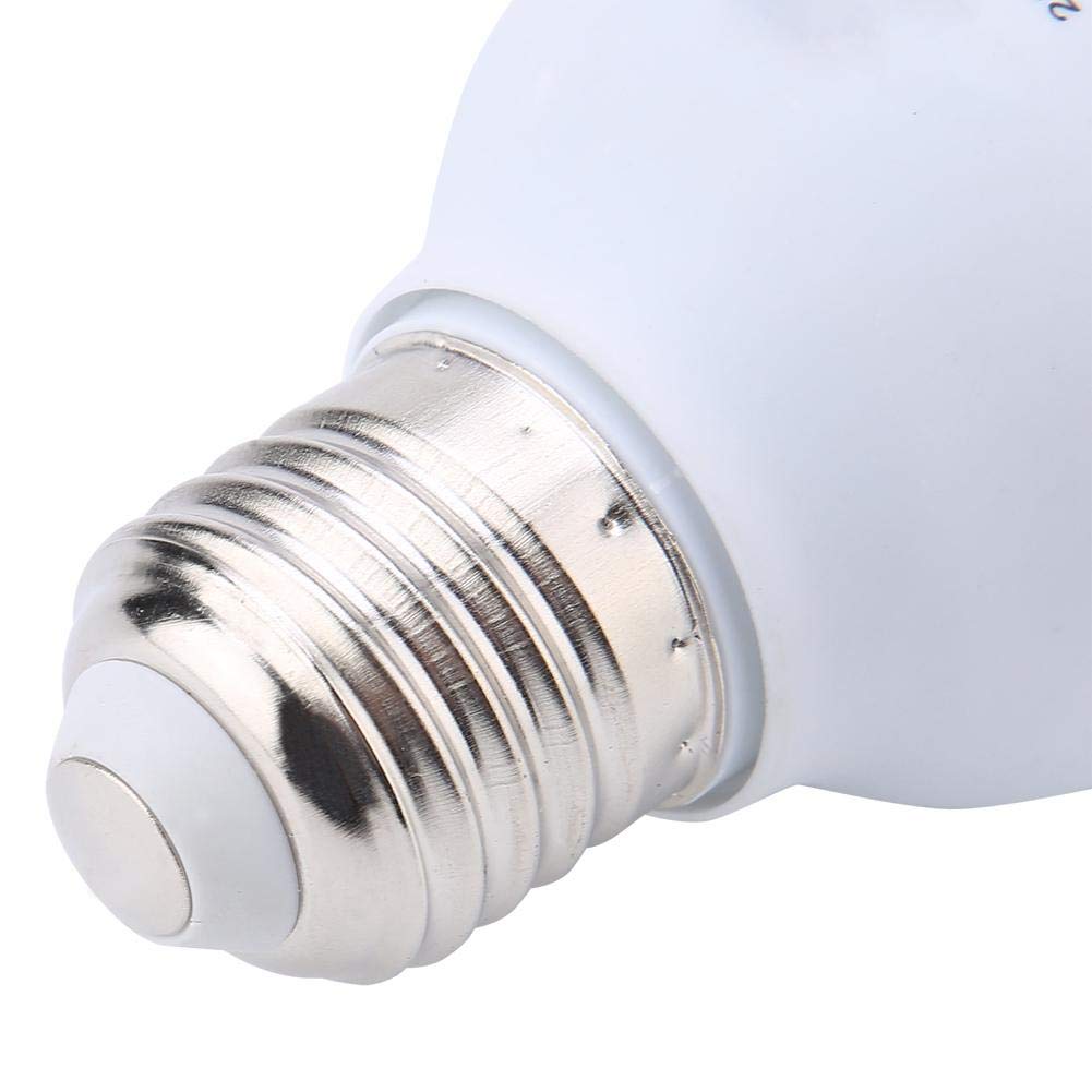Retiland Desert Pro Lámpara UV-B Compacta para Reptiles, E27, 5W, Iluminación UVB