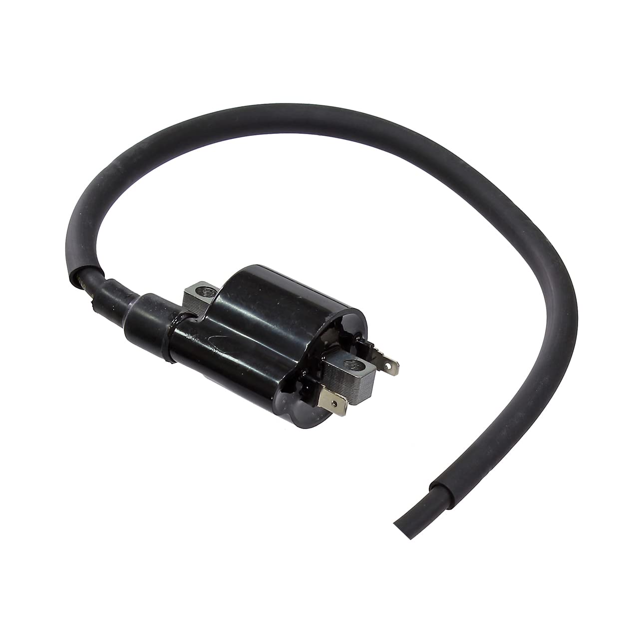 Amazon.com: Factory Spec, AT-01698, Ignition Coil for Yamaha