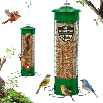 best bird feeders for dickcissels