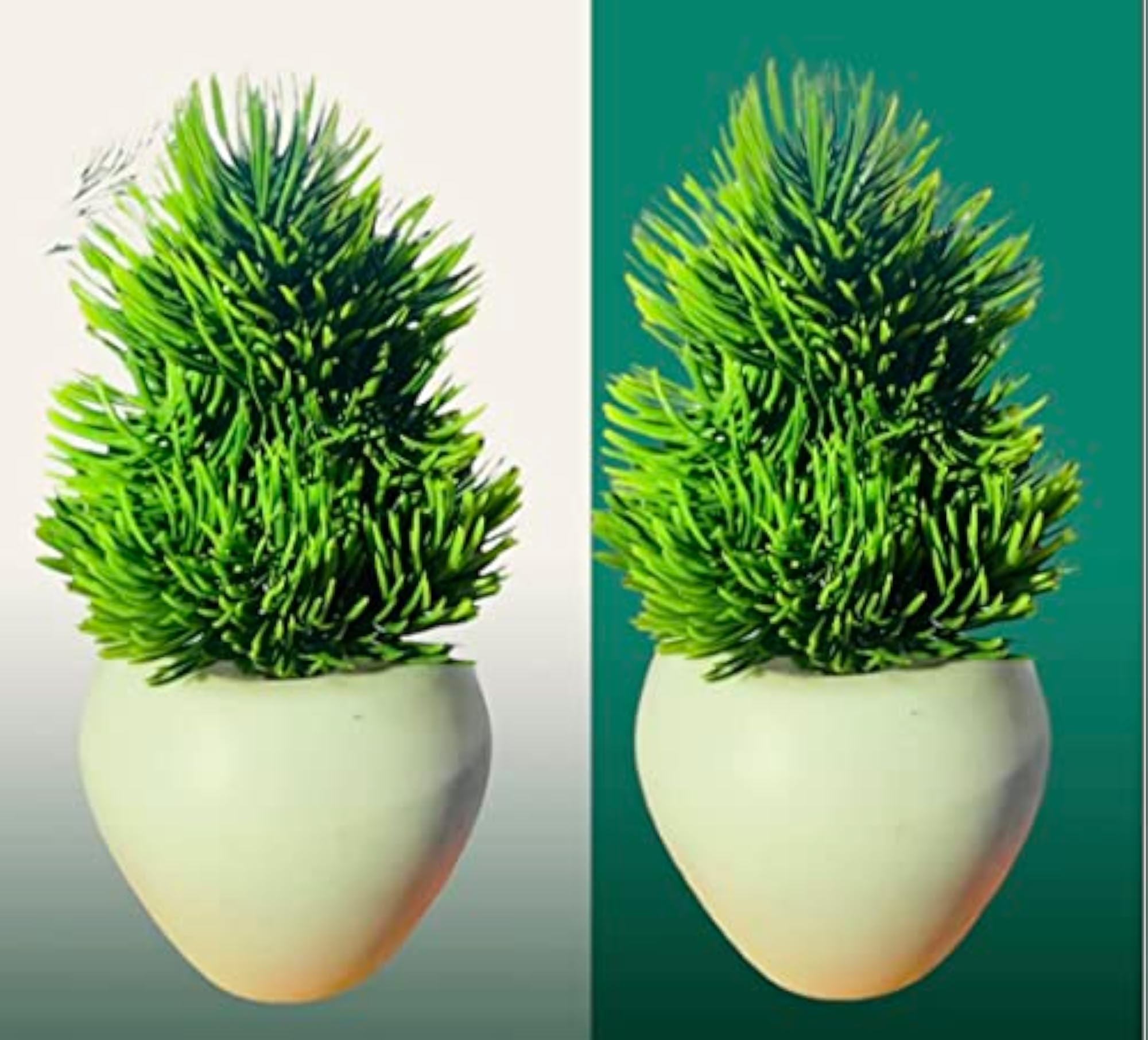 Mini Cue Planters Bonsai with Pot Pack of 2 for Office Desk