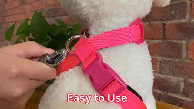 KOSKILL LED Hundeleine 1,2 M - USB-aufladbar Mit 3 Lichtmodi Für Nächtliche Spaziergänge