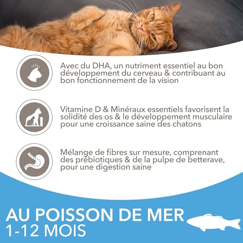IAMS Advanced Nutrition - Croquettes Premium Chatons - Savoureuses complètes Equilibrées - Favorise Croissance - Au Poisson de l'Océan – sans OGM colorants arômes artificiels - Sac refermable de 3 kg – Image 5