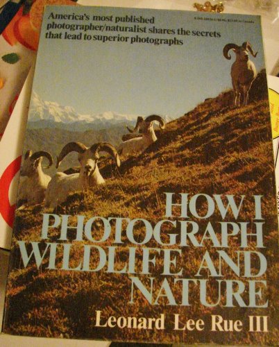 How I Photograph Wildlife and Nature
