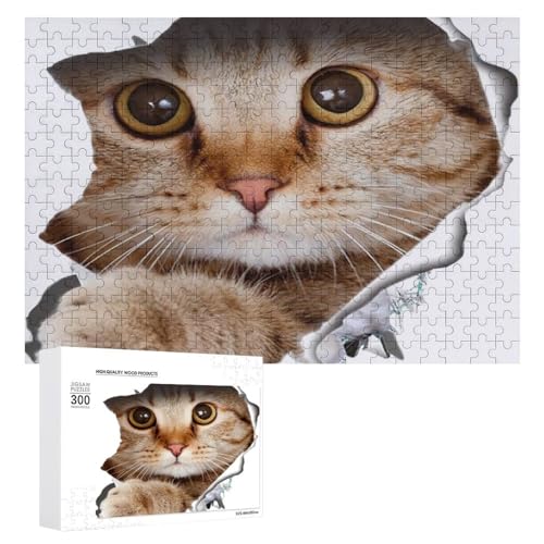 킢L NbN ؐpY pY WO\[pY y mߋ XgXy    Ǐ av[g q l 300 PCS