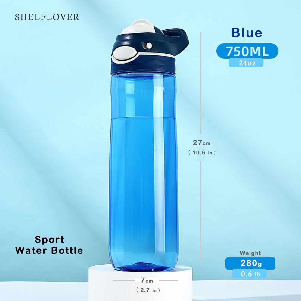Amazon.com: SHELFLOVER 24oz Blue Water Bottle Lockable Lid No