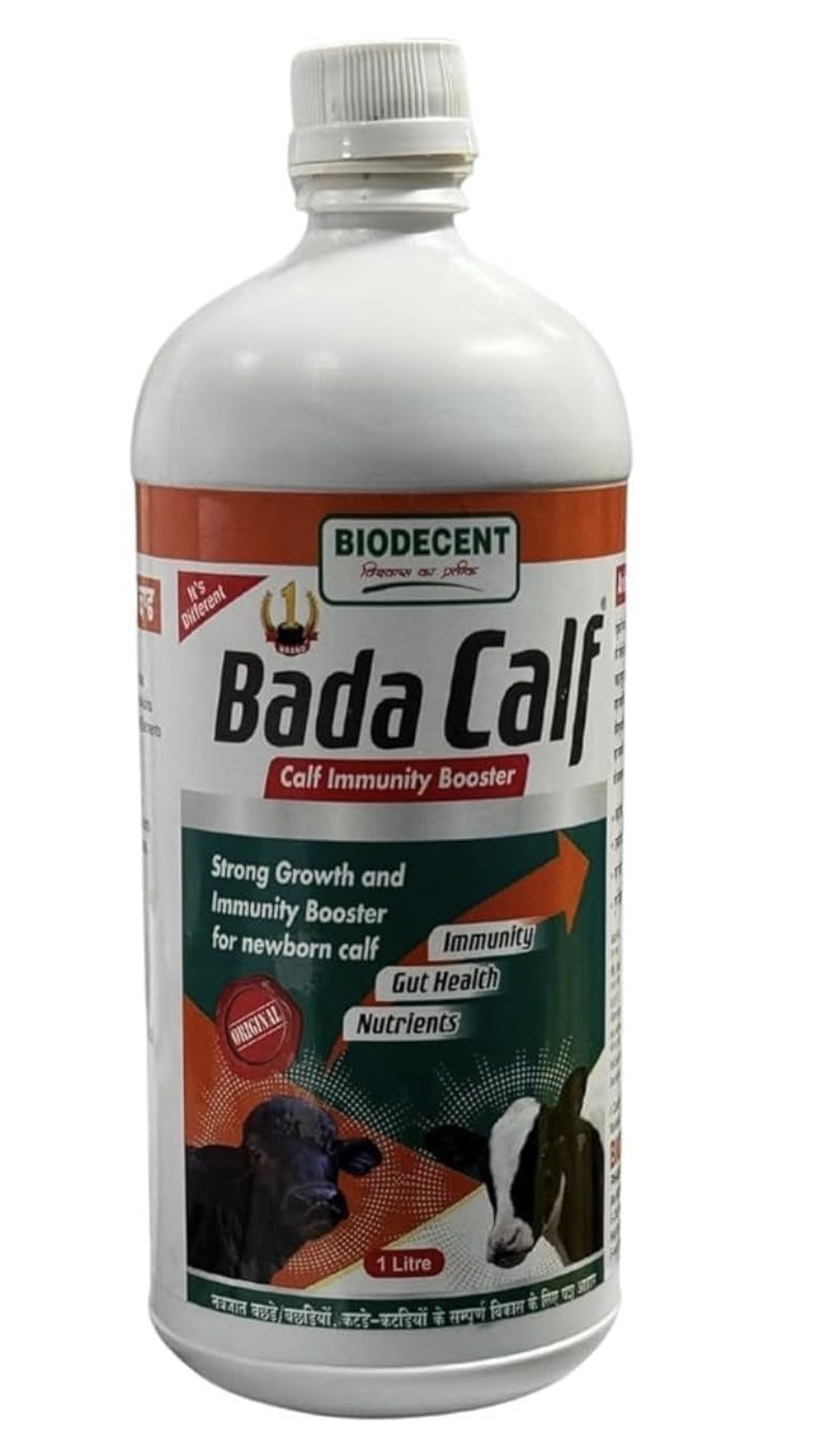 Biodecent Bada Calf Immunity Booster | Strong Growth and Gut Health Supplement for Newborn Calves | Supports Liver, Blood & Digestion | 1 Litre Liquid