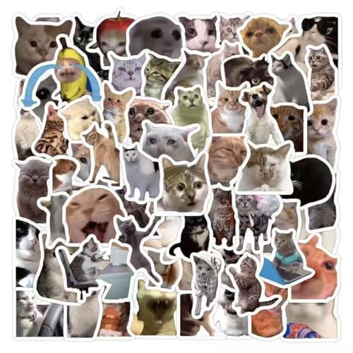 Ya en mundofriki.es: 100 pegatinas de memes de gatos, impermeables y resistentes al sol, impresión de alta definición, pegatina meme, pegatinas