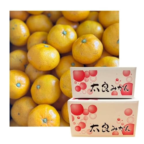 y̎zǂ݂ 󂠂 5kg  3S?L TCY ꌧY ǎY w_ Â p  Ε Ε Mtg