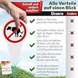 VANEJA Premium 2er-Set, Steckschild hier kein Hundeklo, Extra Robust 4 mm | 24 x 14 cm | Made in Germany Verbotsschild mit PE-Kern und Aluminiumschicht, UV-Beständig für innen und außen.