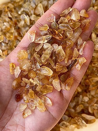 Image of GAF TREASURES 2 oz Lot Natural Citrine Semi Tumbled Gemstone Chips, Crushed Mini Crystals, Undrilled Crystal Chips (Citrine-Dark)