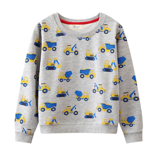 Boys Sweatshirts Long Sleeve Sweatshirts T-shirts Crew Neck Cotton Casual Sweatshirts Cartoon Tops for Boys-239