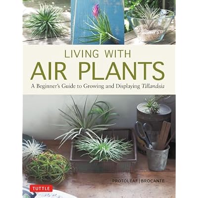 Living with Air Plants