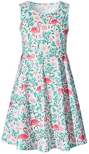 Little Girls Dress Size 8 9 Years Old Green Weeds Red Bird Floral Print Princess Fashion Twirl Flower Frilly Overalls Sundress Basic Casual Clothing for Formal Birthday Party T Shirt Pageant Dresses