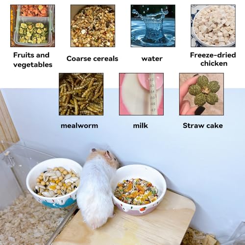 Hamiledyi 2 Pack Hamster Food Bowl,Small Animals Ceramic Food Water Bowl Prevent Tipping Moving For Guinea Pig Gerbil Chinchilla Hedgehog Rat thumb #5