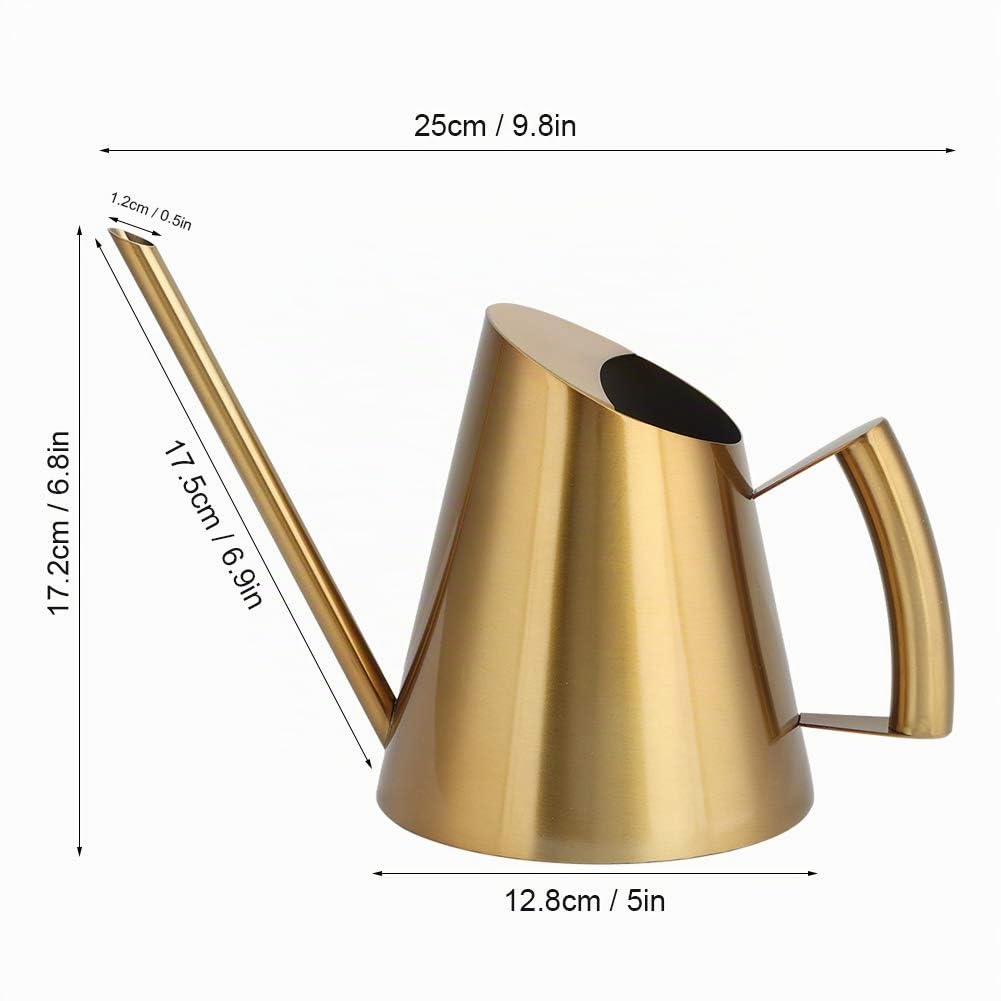 Gießkanne Metall, Giesskanne Gold Kleine Gießkanne Zimmerpflanzen mit Langer Auslauf für Pflanzen Zimmerpflanze (900ML)