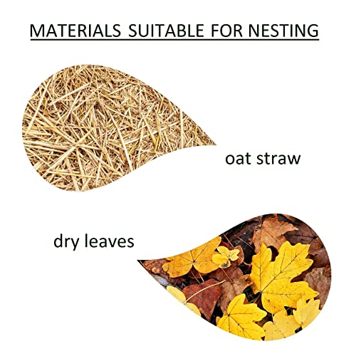 LEVIATAN - egelhuis | met houten bodem I het hele jaar door huis | weerbestendig | perfect voor de tuin | winterkwartier - Image 3