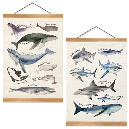 ZTGDA Sharks and Whales Posters, Sea Animals Shark Posters Wall Art, Educational Poster for Kid Classroom Decorations Home Nursery Playroom,Kids Room Decor Set of 2