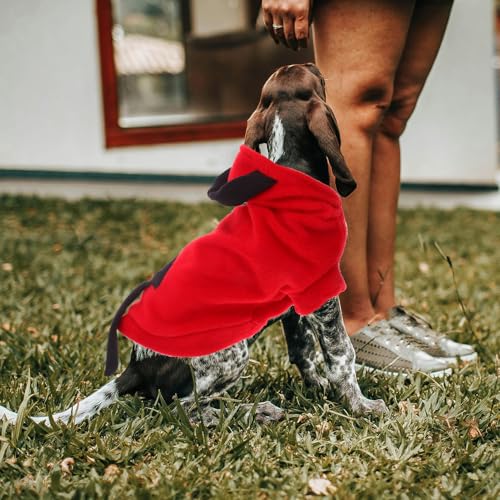 Disfraz Diablo para Perro Mediano KALLORY miniatura 6