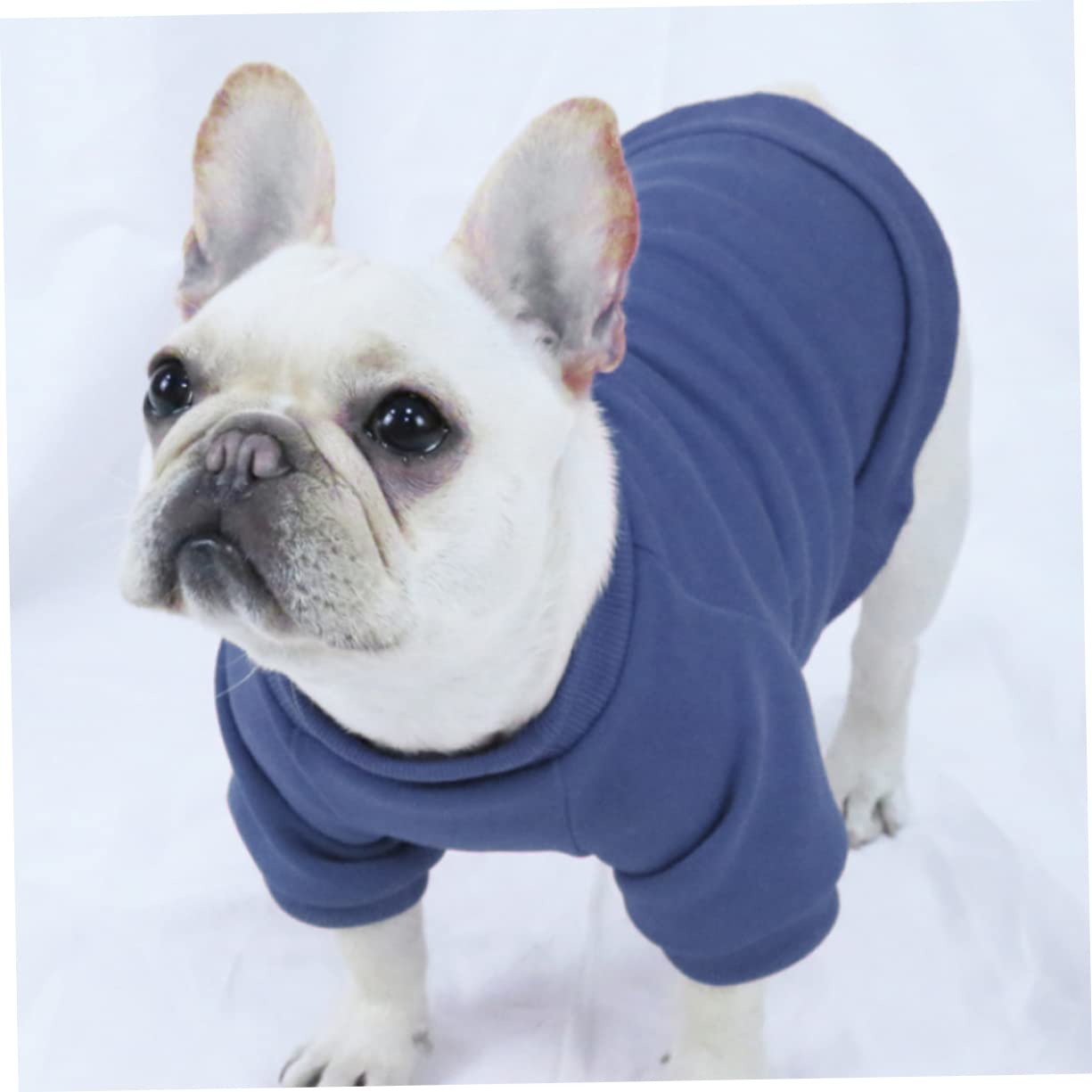 5 Pz Maglione Per Cani Felpe Con Cappuccio Per Ragazzi Cappotto Da Cucciolo Arredamento Coniglietto Caldo Maglione Per Gatti Giacche Da Ragazzo Natale Poliestere Animale Domestico