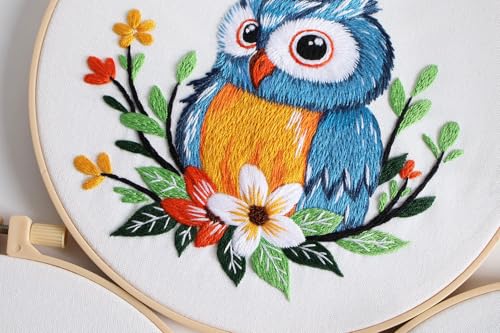 Image of Konrisa Owl Embroidery Kit for Beginners Adult, Embroidery Starter Kit with Cloth Hoops Threads DIY Sewing for Craft Lover Hand Stitch Needlepoint Kits