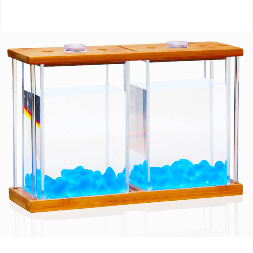 Pecera Creativa de Cristal Bilateral, Transparente, Betta, Rectangular, pequeña Planta de Agua Ornamental, Oficina, hogar, Acuario