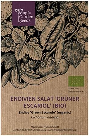 Chicorée endive 'Scarole verte' (Cichorium endivia) env. 350 seme...