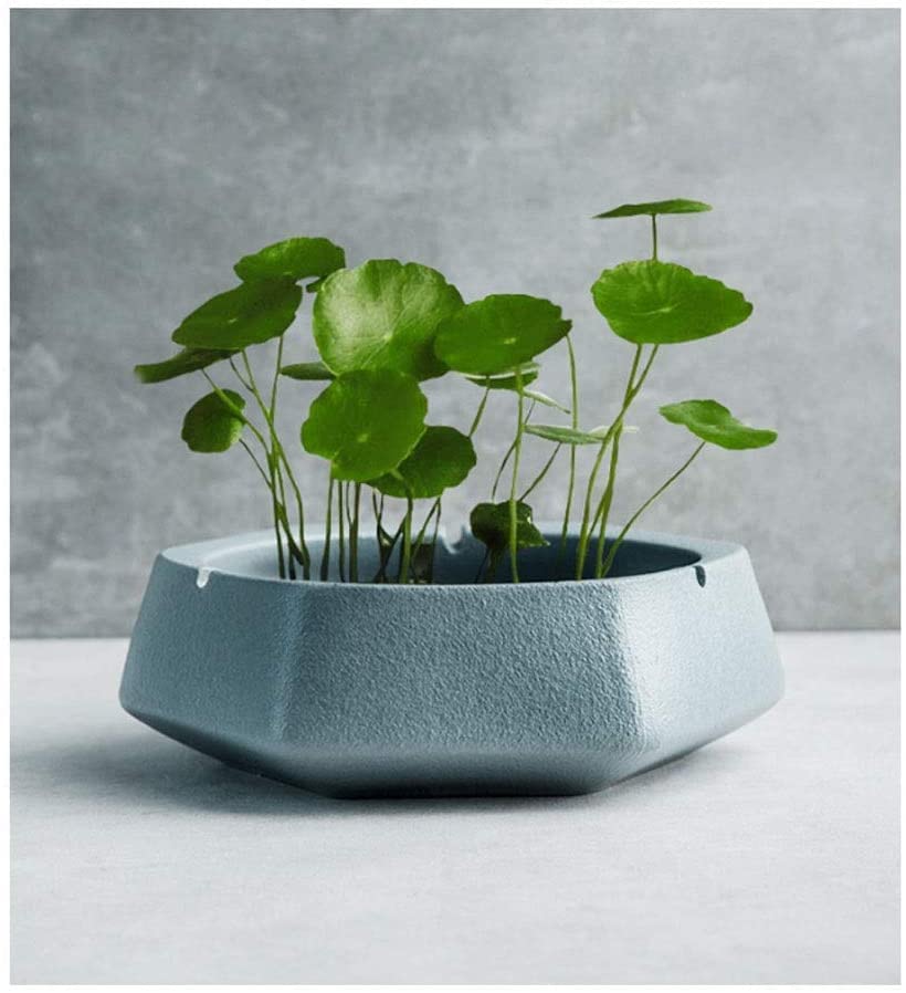 Amazon.com: NMGMJQ Cigarette Ashtray Ceramic Ashtray for Cigarettes, Ash  Holder for Smokers, Desktop Decoration Ash Tray for Indoor Outdoor Patio  Home Ash Tray for Indoor Outdoor(C) : Home & Kitchen