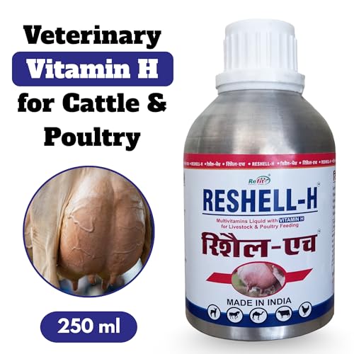 Image of REFIT ANIMAL CARE Veterinary Vitamin H Supplement for Cow, Cattle, Goat, Chicken, Layers, Broilers, Poultry and Other Livestock Animals, 250ml, Reshell H