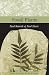 Fossil Plants (Living Past)