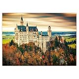 Foto, Poster, Wanddekoration, 70 x 50 cm, Schloss 