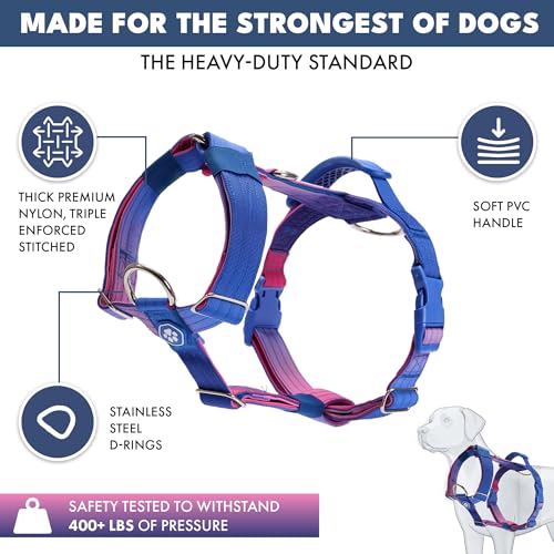 Image of Spark Paws No Pull Dog Harness with Handle for Large Dogs, Heavy Duty Dog Harness for Big Strong Breeds, Adjustable, Y Shaped Padded Halter Design with Front Clip - Snow Cone - L