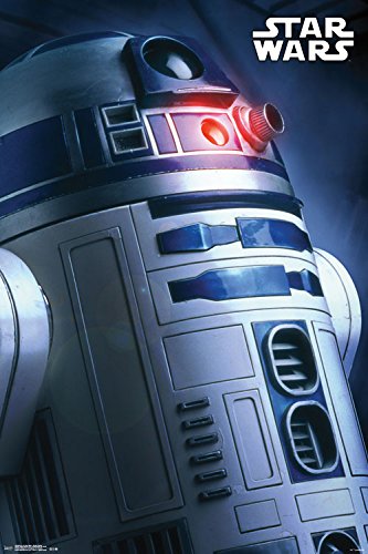 Trends International Star Wars R2-D2 Profile Collector's Edition Wall Poster 24" X 36"