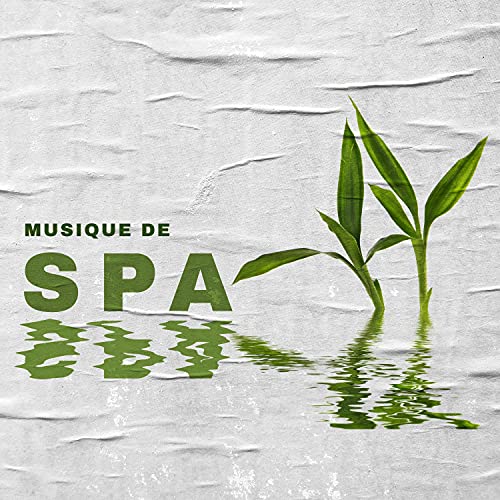 Amazon MusicでOasis de Musique Zen Spa, Zen Méditation Ambiance & Nature