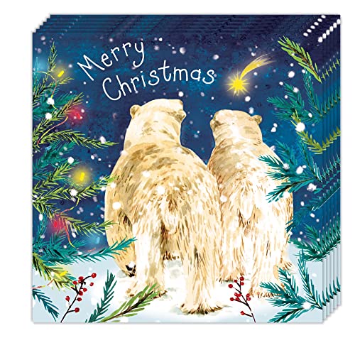Lot de 12 cartes de Noël ours polaire mignon pour vœux réussis