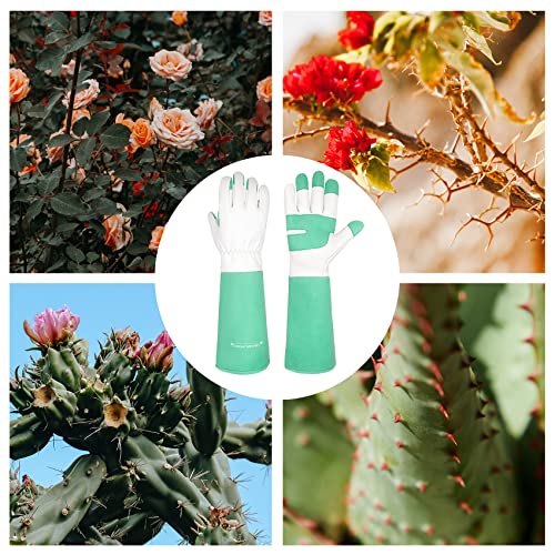 AIGEVTURE Rose Pruning Gloves Long Sleeve Thorn Proof,Rose Gardening Gloves for Men Women Long Gauntlet,Grain Cowhide Leather Green(X-Small) - Image 2