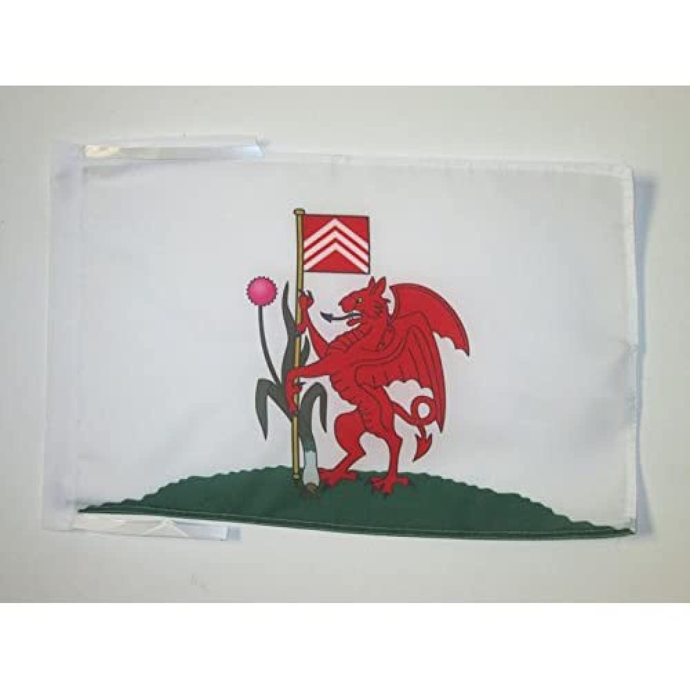 Iran Old Persia Flag 18'' x 12'' cords - Persian SMALL flags 30 x 45cm - Banner 18x12 in - AZ FLAG — view 810