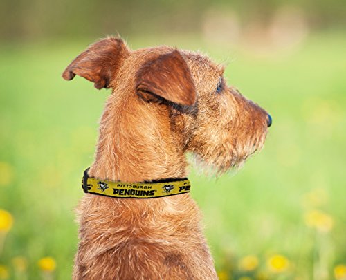 Pets First Nhl Pittsburgh Penguins Collar For Dogs & Cats, Medium. - Adjustable, Cute & Stylish! The Ultimate Hockey Fan Collar! #TOP4