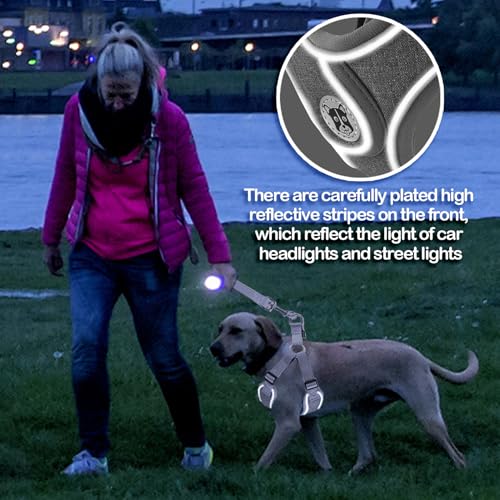 Hundegeschirr und Leine Set, Verstellbares Welpengeschirr, reflektierendes Step in Welpengeschirr, Hundegeschirr Kein Ziehen, Geschirre Kleine Hunde mit Leine, für Kleine Hunde, Katzen