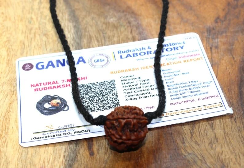 Rudraksha Pendant 7 Mukhi Original Lab Certified Rudraksh Mala Bead Necklace on Adjustable Cotton Cord, Shiva Jewelry, Ayurveda Yoga Energy Hindu Protection Necklace for Men & Women4