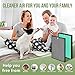 PH950 Filters Compatible with Turonic PH950 HEPA Air Pu-rifier and Extract-All AMB1 Purifier, 4 Stages of Filtration with True HEPA13, Cotton filter, Activated Carbon and Cold Catalyst filter