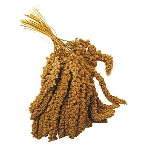 Millet Sprays 1Kg - Bird Treat Cover